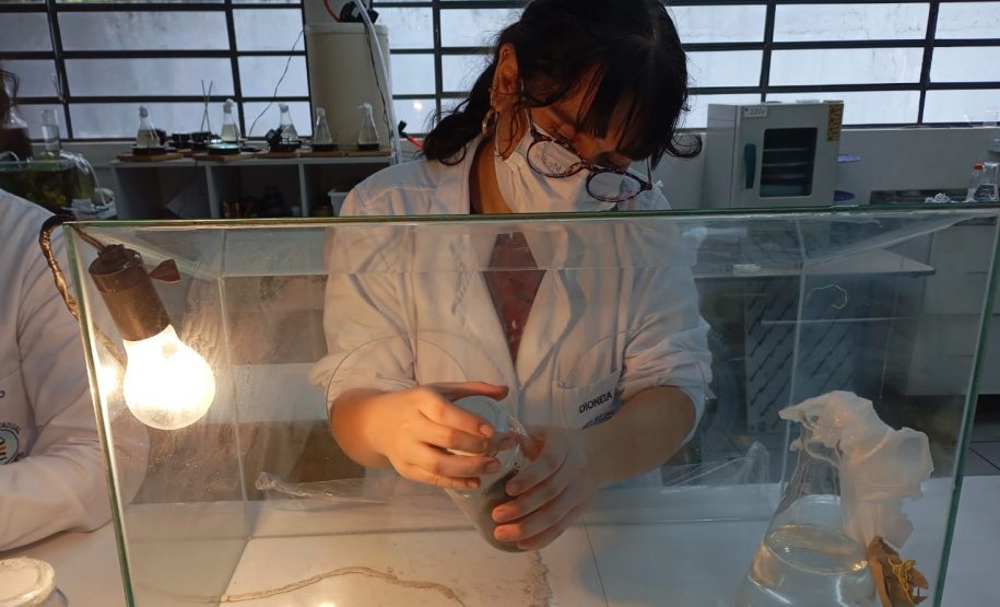 Projetos da rede estadual do Paraná são destaque na Febrace 2025