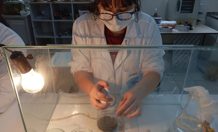 Projetos da rede estadual do Paraná são destaque na Febrace 2025