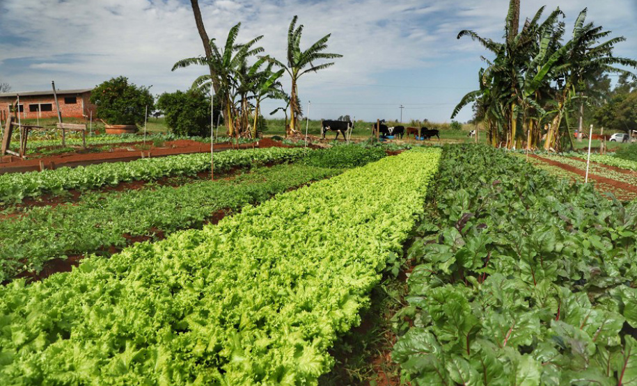 SEAB - Censo Orgânicos