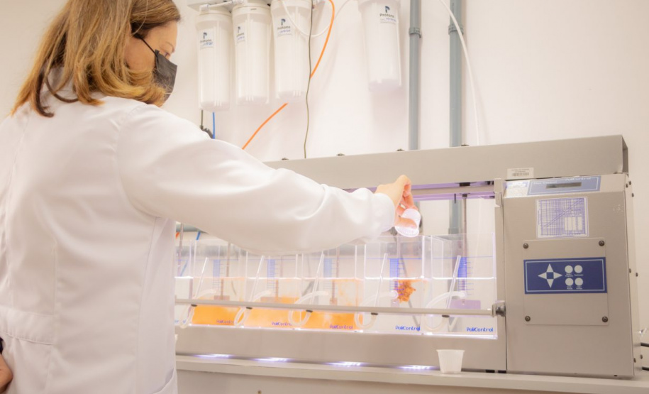 Universidades Estaduais confirmam excelência em pesquisa científica em avaliação da Capes