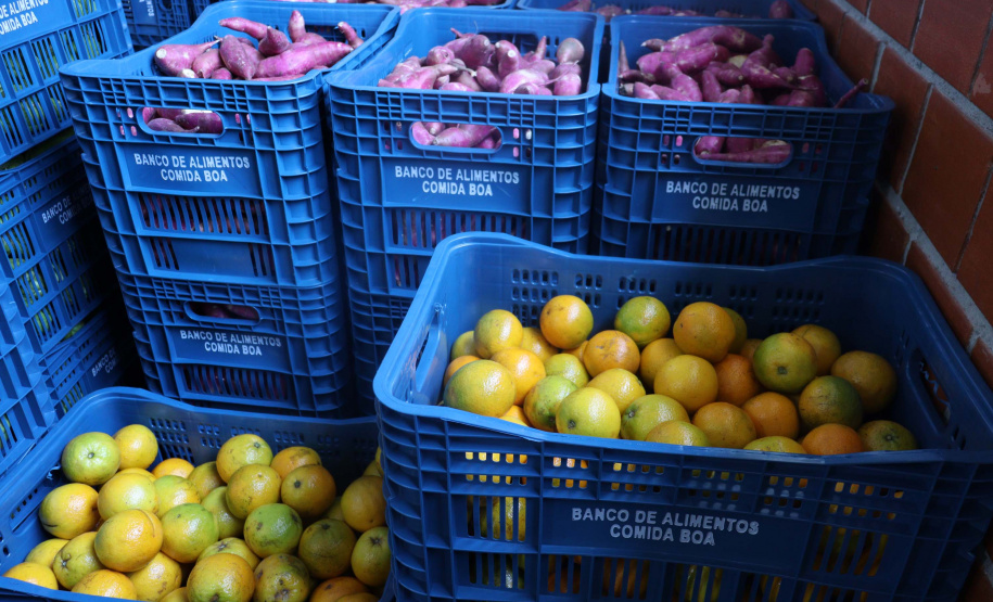 Aparência não é qualidade: O consumo de frutas e vegetais ‘feios’ ajudam a combater o desperdício de alimentos