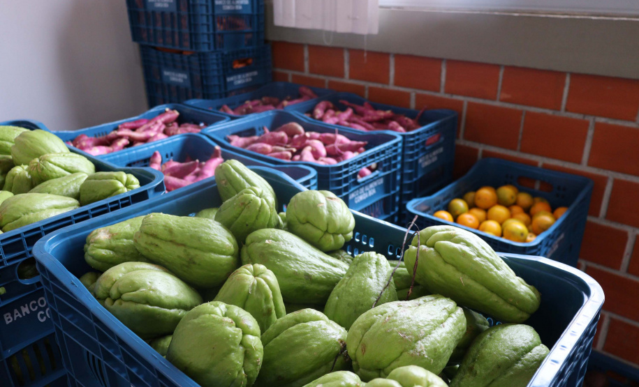 Aparência não é qualidade: O consumo de frutas e vegetais ‘feios’ ajudam a combater o desperdício de alimentos