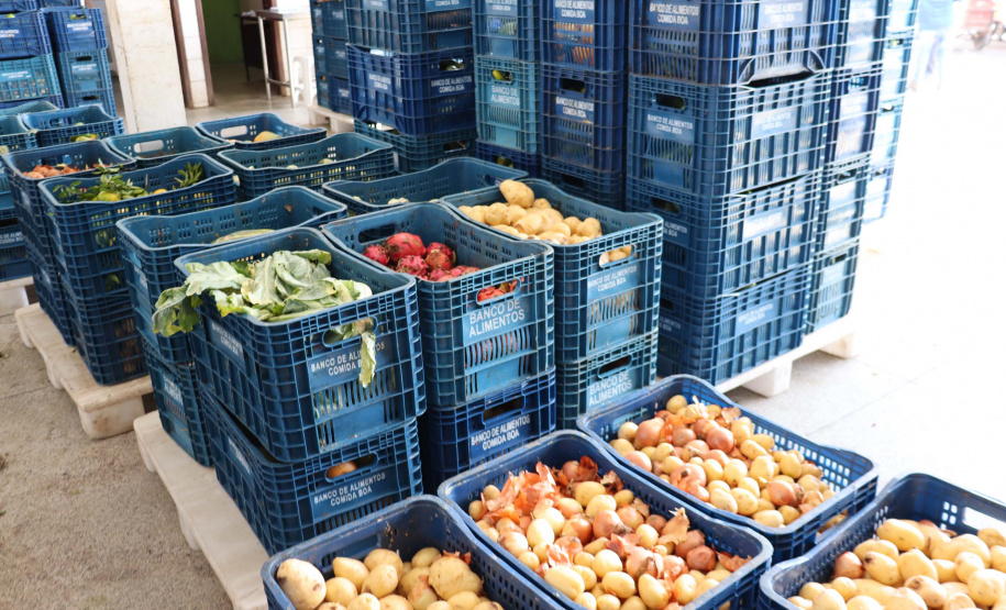 Aparência não é qualidade: O consumo de frutas e vegetais ‘feios’ ajudam a combater o desperdício de alimentos
