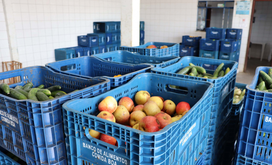 Aparência não é qualidade: O consumo de frutas e vegetais ‘feios’ ajudam a combater o desperdício de alimentos