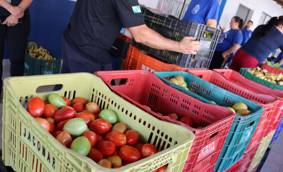 Aparência não é qualidade: O consumo de frutas e vegetais ‘feios’ ajudam a combater o desperdício de alimentos