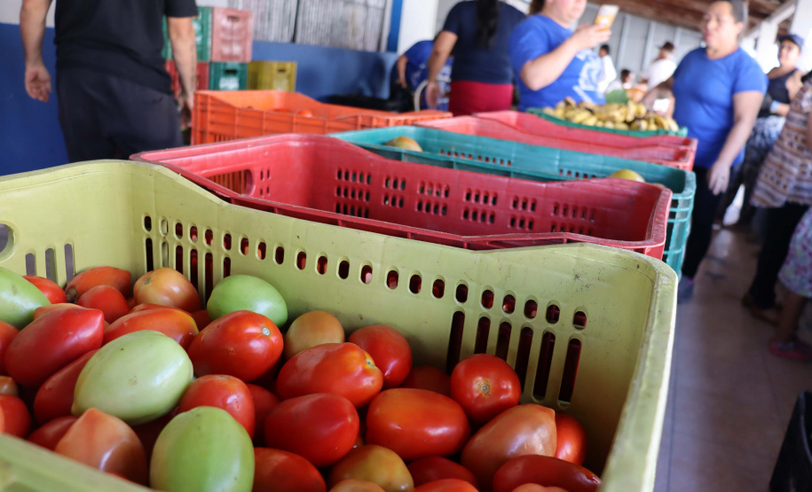 Aparência não é qualidade: O consumo de frutas e vegetais ‘feios’ ajudam a combater o desperdício de alimentos