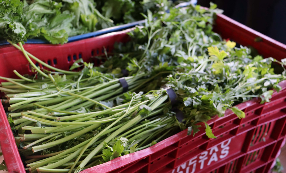 Aparência não é qualidade: O consumo de frutas e vegetais ‘feios’ ajudam a combater o desperdício de alimentos
