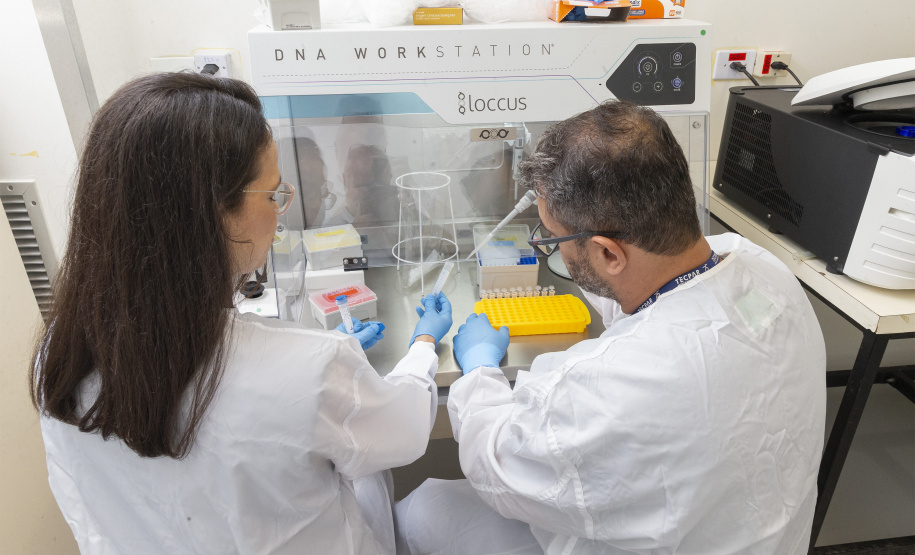 Parceria entre Tecpar e UFPR fortalece PD&I de vacina antirrábica veterinária