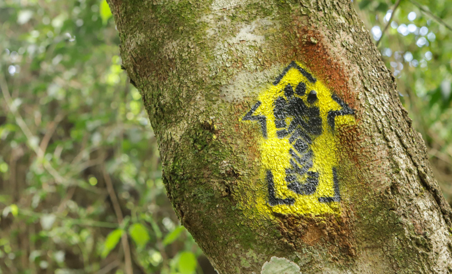 SETU - expedição Caminhos do Peabiru