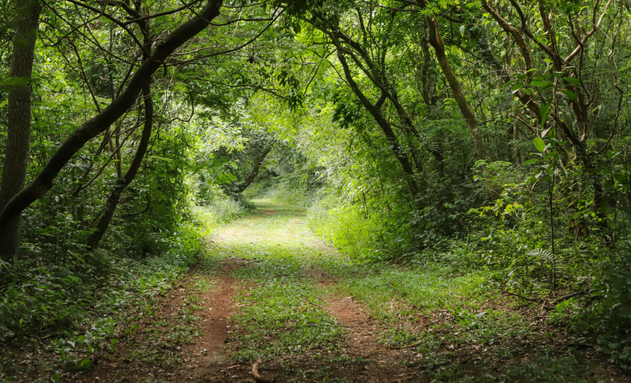 SETU - expedição Caminhos do Peabiru