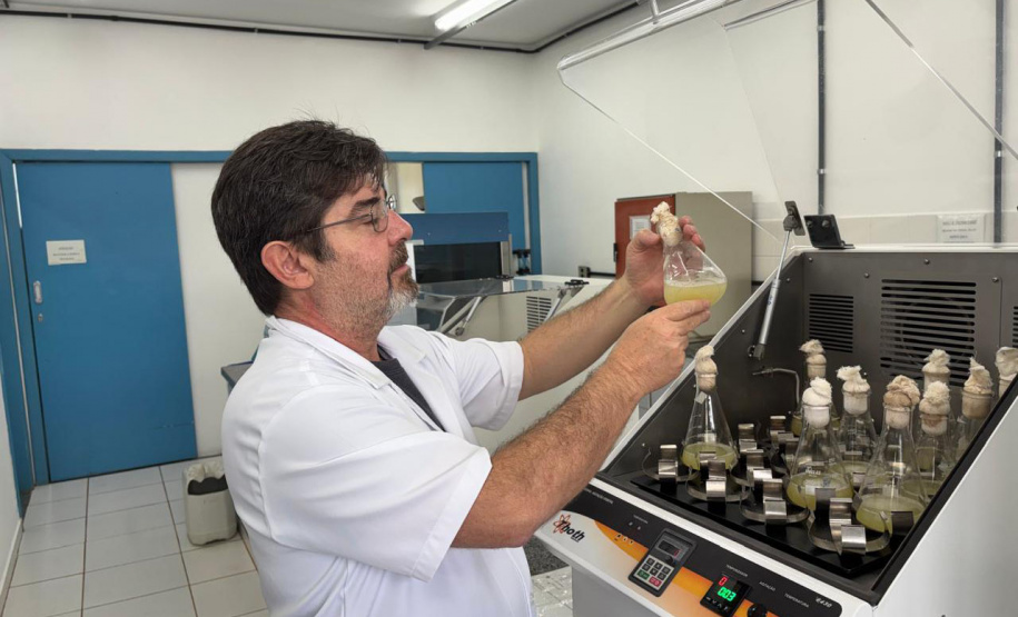 Fundação Araucária Pós-graduação