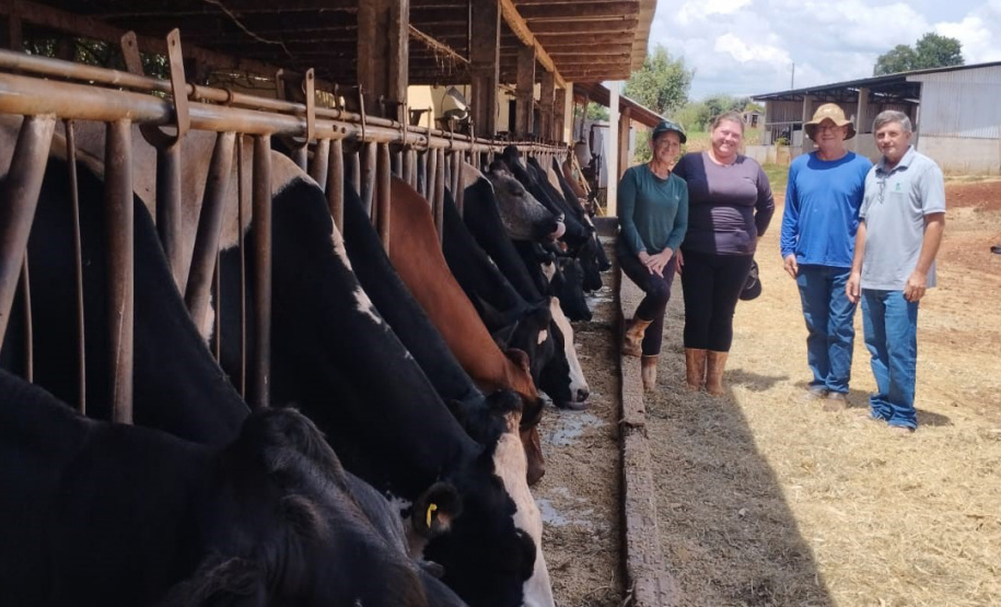 SEAB - Programa no Paraná fortalece pecuária leiteira e aumenta rentabilidade dos produtores
