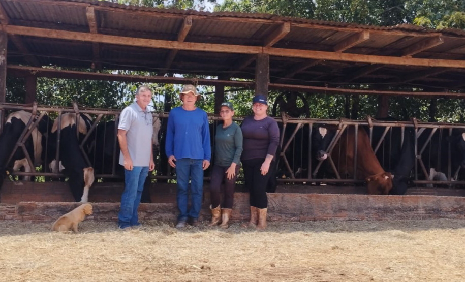 SEAB - Programa no Paraná fortalece pecuária leiteira e aumenta rentabilidade dos produtores