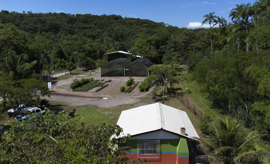 “Um dia no viveiro” mobiliza comunidade litorânea para a educação ambiental