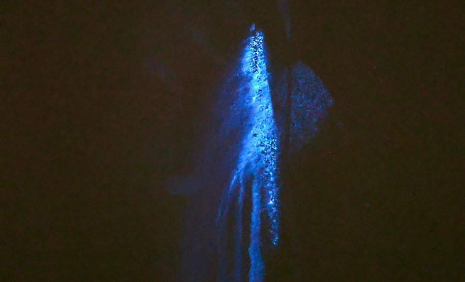 Luminol reforça atuação da Polícia Científica na identificação de vestígios ocultos