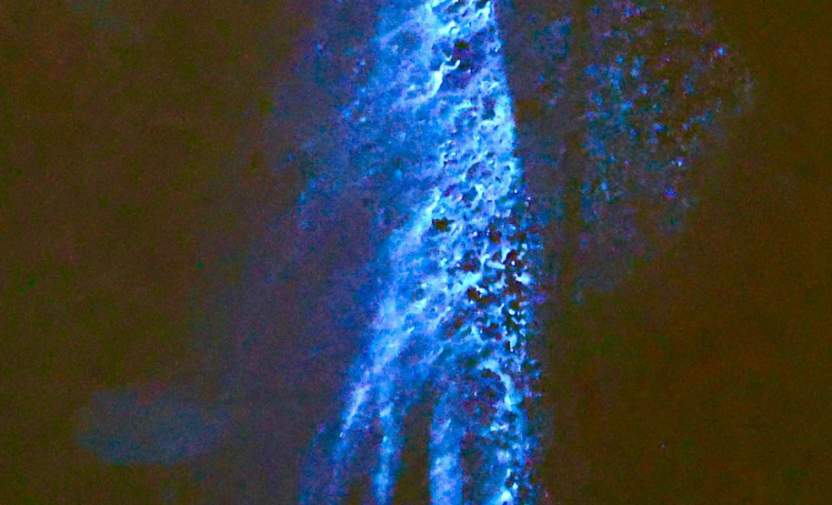 Luminol reforça atuação da Polícia Científica na identificação de vestígios ocultos