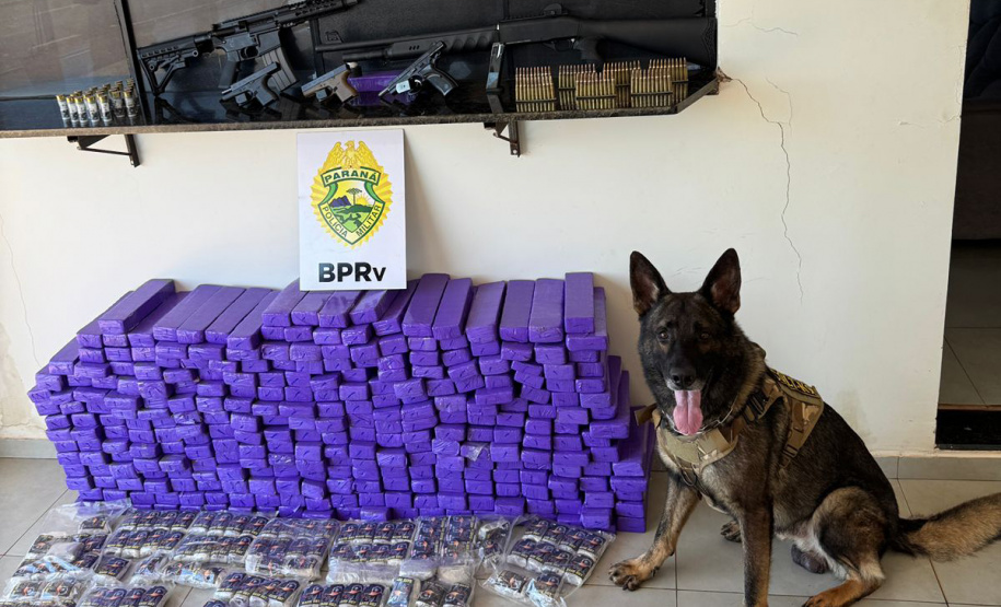 Ação do BPRv apreende armas e mais de 210 quilos de drogas em Iporã
