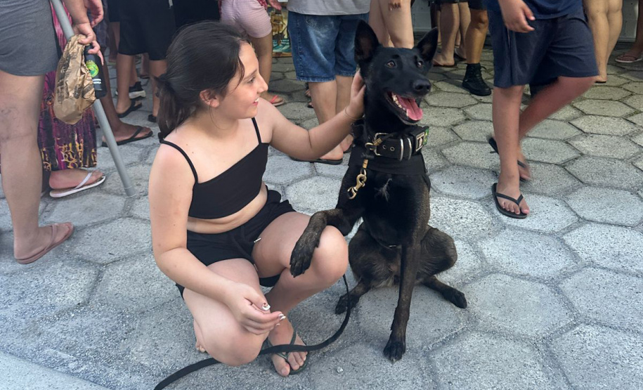 Cães da Polícia Penal reforçam segurança no litoral durante o Verão Maior Paraná