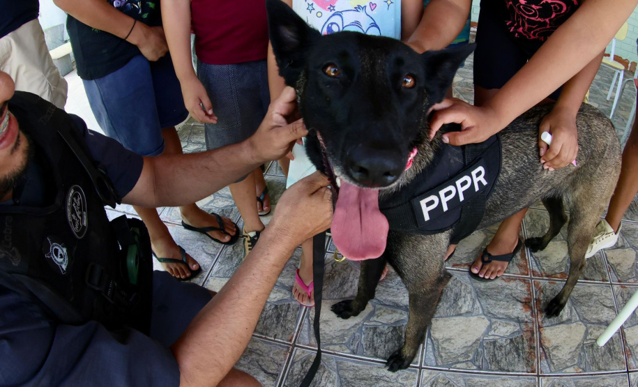 Cães da Polícia Penal reforçam segurança no litoral durante o Verão Maior Paraná