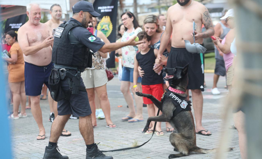 Cães da Polícia Penal reforçam segurança no litoral durante o Verão Maior Paraná