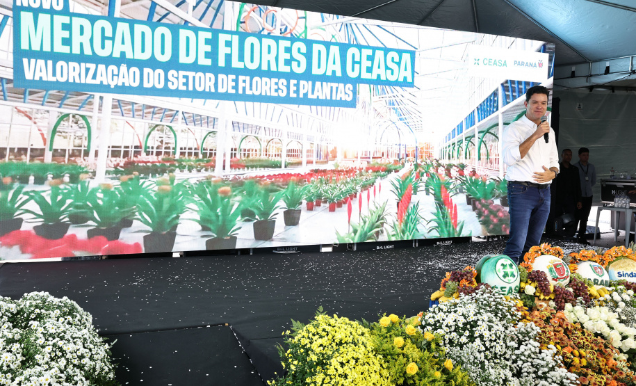 MERCADO DAS FLORES CEASA