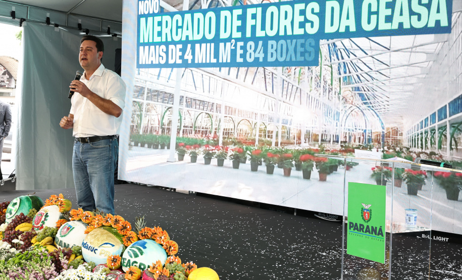 MERCADO DAS FLORES CEASA