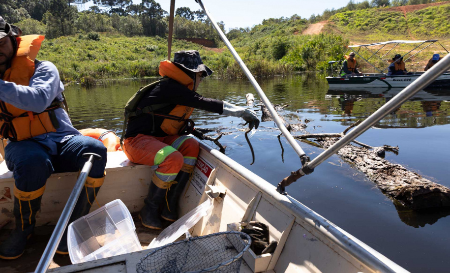 Sanepar resgatou cerca de 2 mil animais desde o início do enchimento do Reservatório Miringuava