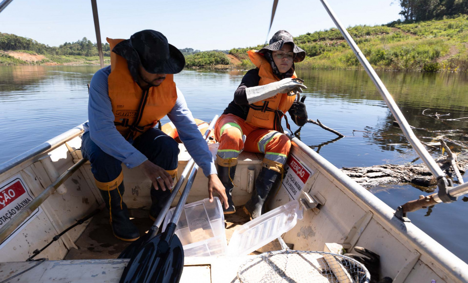 Sanepar resgatou cerca de 2 mil animais desde o início do enchimento do Reservatório Miringuava