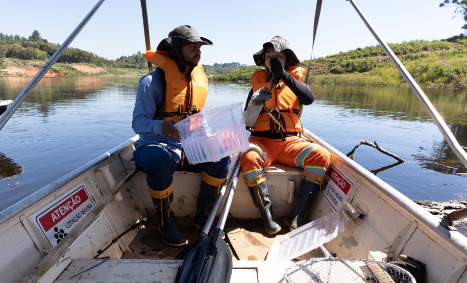 Sanepar resgatou cerca de 2 mil animais desde o início do enchimento do Reservatório Miringuava