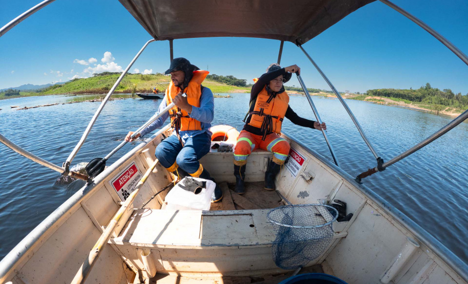 Sanepar resgatou cerca de 2 mil animais desde o início do enchimento do Reservatório Miringuava