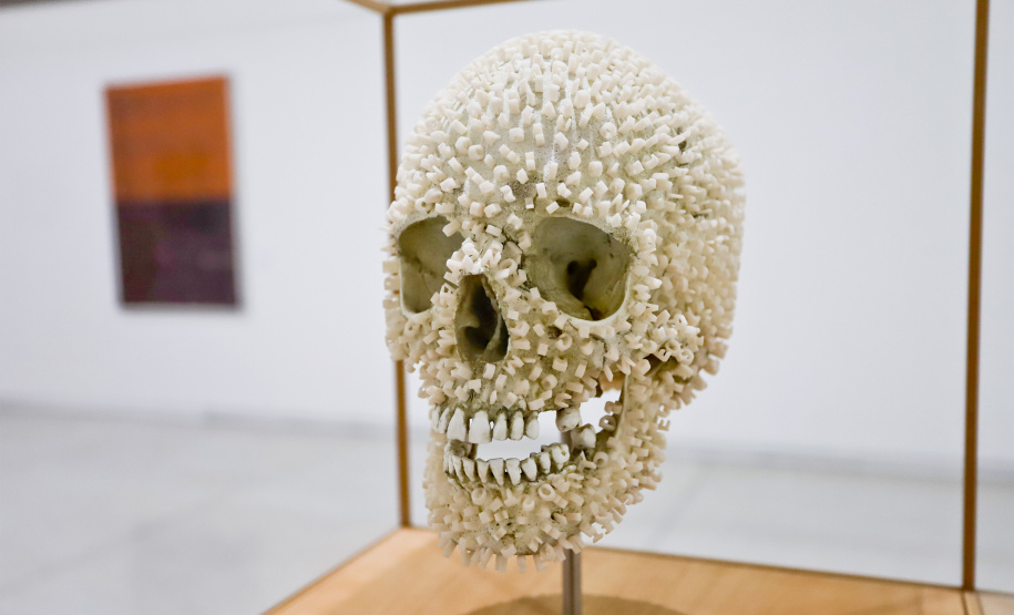 Exposição Veemente