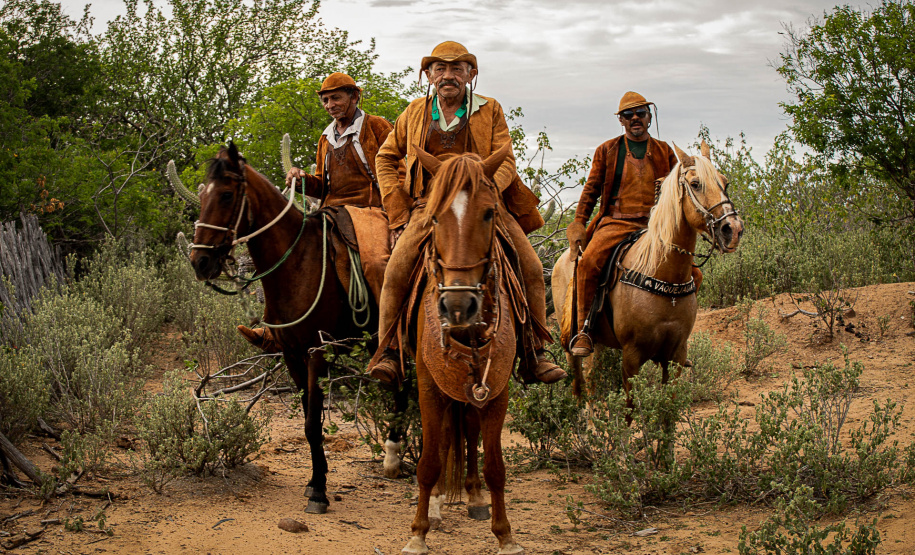 Mês das mulheres: MIS-PR divulga programação gratuita de março