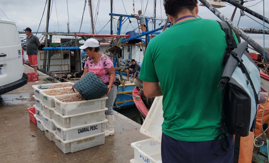 Atividades ambientais na Ponte de Guaratuba