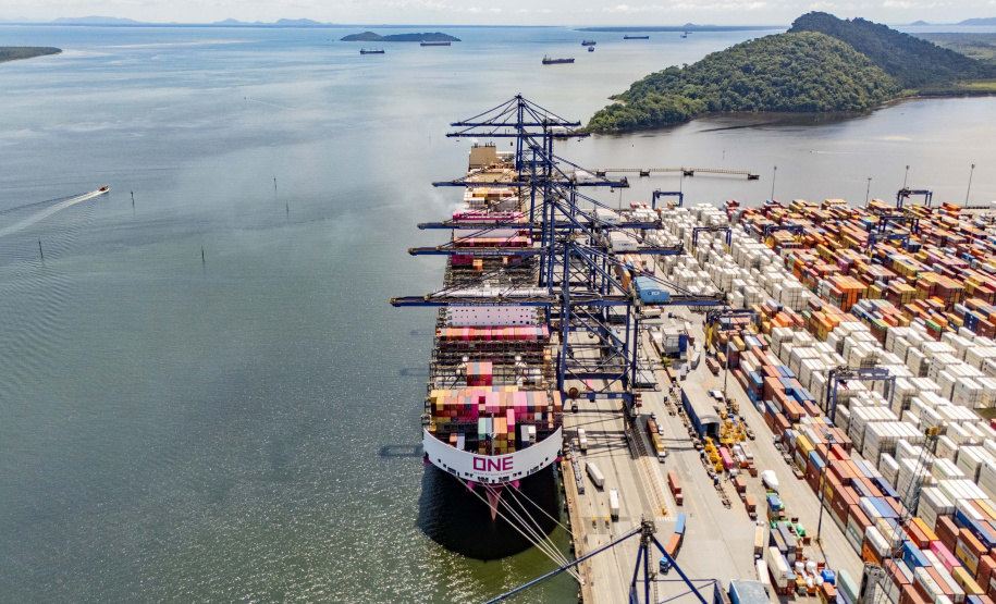 Portos do Paraná concentram quase metade das exportações de frango do Brasil