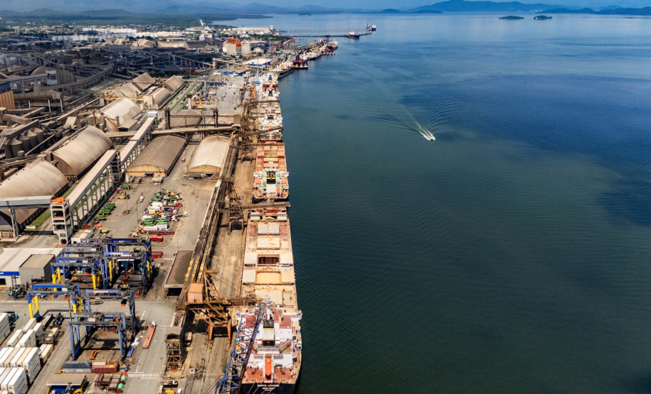 Portos do Paraná concentram quase metade das exportações de frango do Brasil