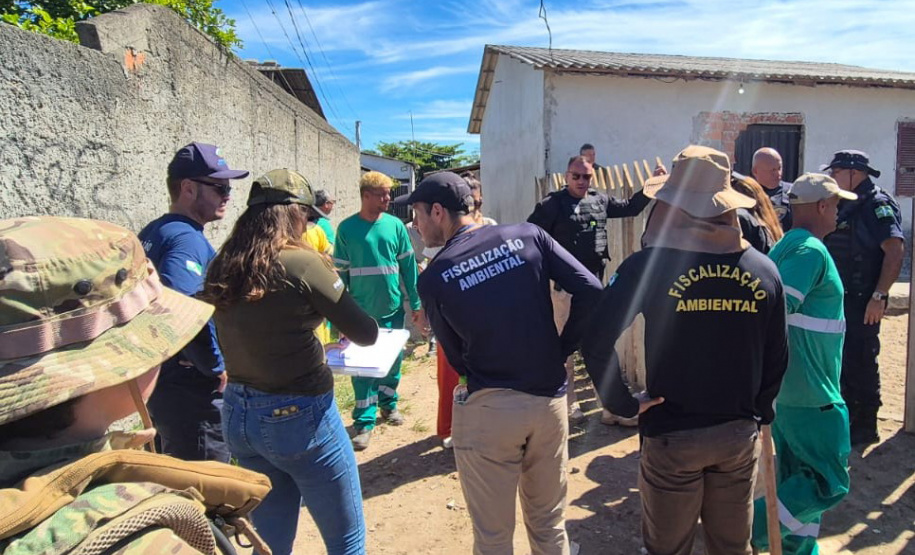 Governo cria canal exclusivo para denúncias de crimes ambientais no Paraná