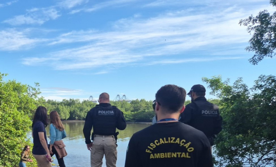 Governo cria canal exclusivo para denúncias de crimes ambientais no Paraná