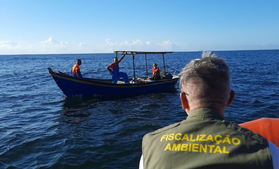 Governo cria canal exclusivo para denúncias de crimes ambientais no Paraná