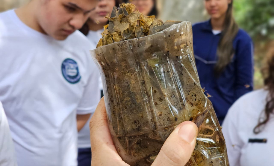 Clube de ciências em colégio cívico-militar de Rolândia é destaque em feiras científicas e influencia projeto de rearborização municipal