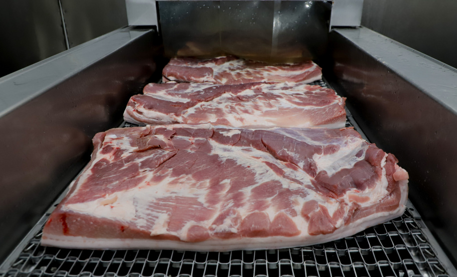 Diplomacia e status sanitário estimulam as exportações de suínos do Paraná