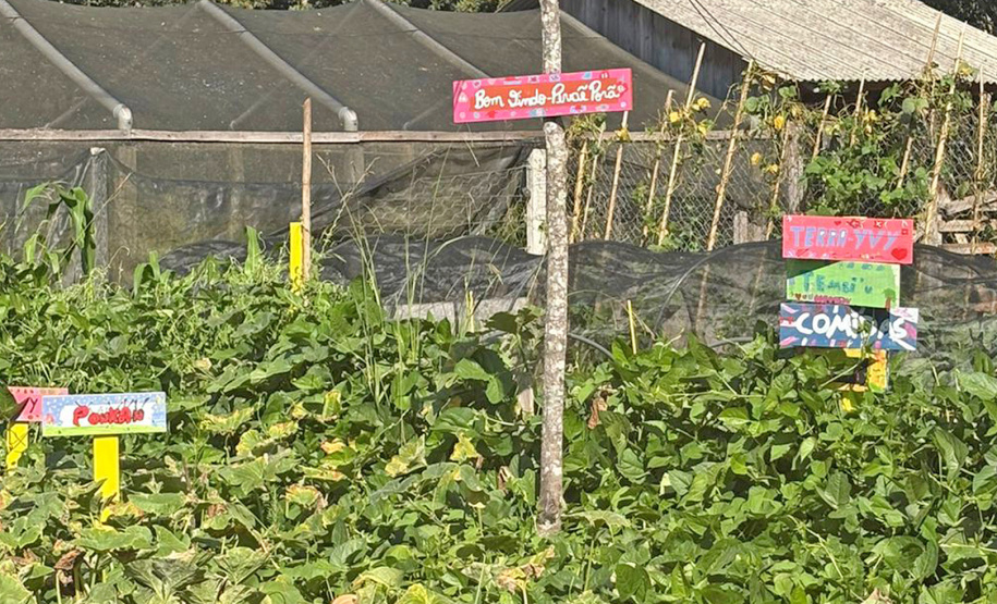 Setu: consultas Caminhos do Peabiru