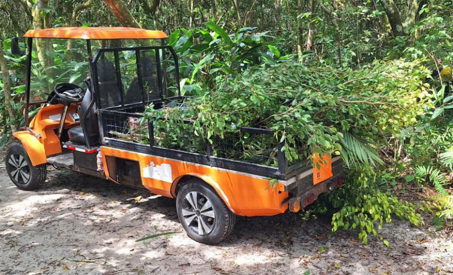 No Carnaval, Copel reforça equipes de manutenção no litoral
