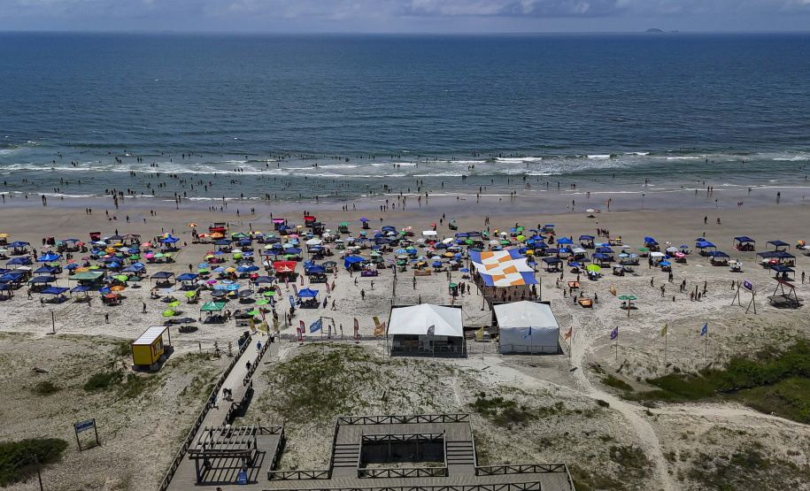 Saúde reforça orientações para prevenir acidentes com águas-vivas no Litoral durante o Carnaval