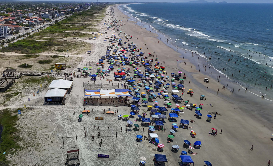 Saúde reforça orientações para prevenir acidentes com águas-vivas no Litoral durante o Carnaval