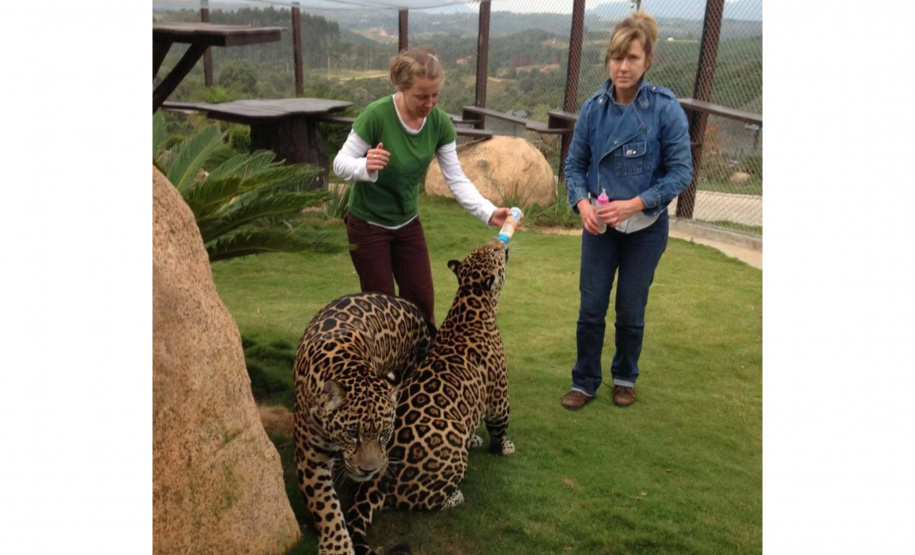 Nota Paraná destina R$ 2,2 milhões a entidades sociais no sorteio de Carnaval