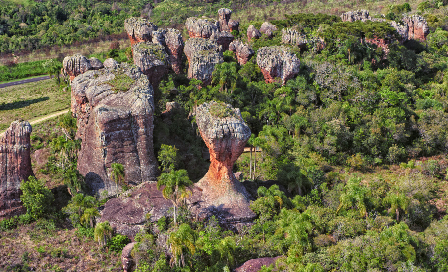 Denis Ferreira Netto/Sedest