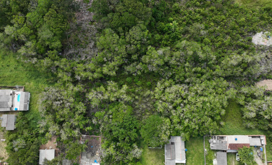 Polícia Científica intensifica perícias ambientais no litoral paranaense