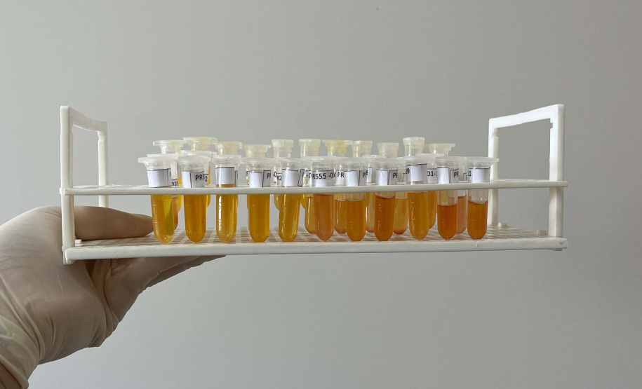 Adapar realiza ações do ciclo de vigilância ativa para Influenza Aviária e Doença de Newcastle no Paraná