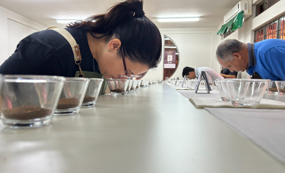 No Show RuraI, IDR-Paraná mostrará o universo do café paranaense em espaço interativo