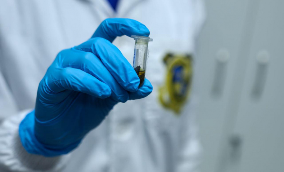 Atuação integrada das forças de segurança no Carnaval reduz roubos em 44% e furtos em 32% no Litoral do Paraná